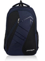 PROVOGUE Large 42 L Laptop Backpack Unisex Padded Office/College Backpack for 15.6 inch laptop (Blue)