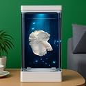 PS-11 White Acrylic Aquarium Tank | Small Desktop Betta Fish Tank with Color-Changing LED Lighting | Easy-Clean Compact Acrylic Bowl for Guppy, Shrimp & Nano Fish (1.5 L)