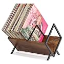 PUERSI Vinyl Record Storage Rack, 1 Tier 80 LP Record Storage Holder