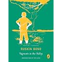 Puffin Classics: Vagrants in the Valley