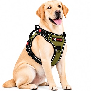 No Pull Dog Chest Belt Harness Adjustable