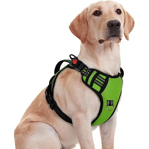 No Pull Dog Chest Belt Harness Comfortable