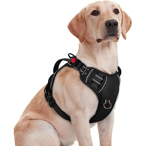 No Pull Dog Chest Belt Harness Comfortable