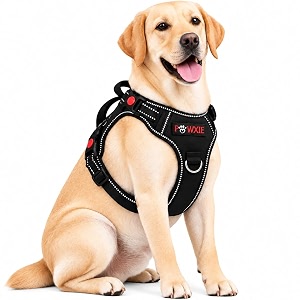 No Pull Dog Chest Belt Harness Comfortable