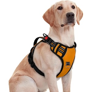 No Pull Dog Chest Belt Harness Comfortable
