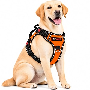 No Pull Dog Chest Belt Harness Comfortable