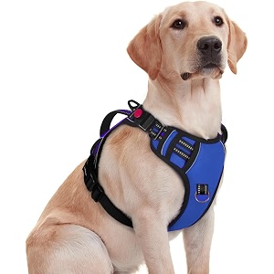 No Pull Dog Chest Belt Harness Comfortable