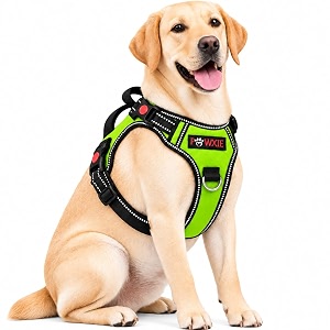 No Pull Dog Chest Belt Harness Comfortable