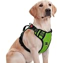 No Pull Dog Chest Belt Harness Comfortable