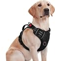No Pull Dog Chest Belt Harness Comfortable