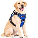 No Pull Dog Chest Belt Harness Comfortable
