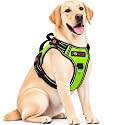 No Pull Dog Chest Belt Harness Comfortable