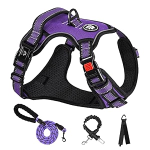 no pull dog harness s purple