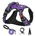 No Pull Dog Harness S Purple