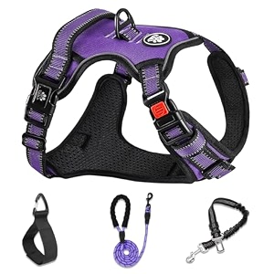 no pull dog harness xl purple