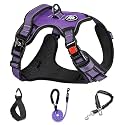 No Pull Dog Harness XL Purple