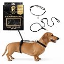 No Pull Hand Free Dog Leash with Wrap-Around Design for Walking