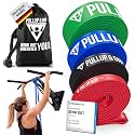 Pullup &amp; DIP Fitness Bands, Resistance Bands with Bag, Door Anchor (with Sets) and Exercise Guide - Single &amp; in Value Set, Pull-Up Band Fitness Band for Calisthenics