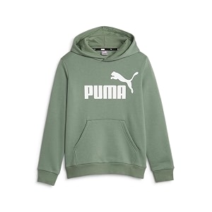 Puma Boys Cotton Hooded Neck Sweatshirt