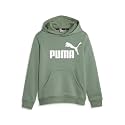 Puma Boys Cotton Hooded Neck Sweatshirt