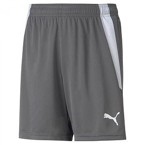 puma boys kids39 teamliga shorts