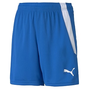 puma boys kids39 teamliga shorts