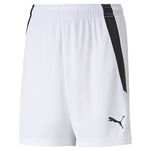 puma boys kids39 teamliga shorts