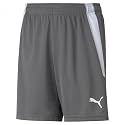 Puma Boys Kids' Teamliga Shorts
