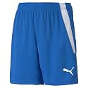 Puma Boys Kids' Teamliga Shorts