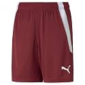 Puma Boys Kids' Teamliga Shorts