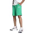 Puma Boys Shorts