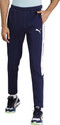 PUMA EVOSTRIPE Core Pants Men Striped Blue