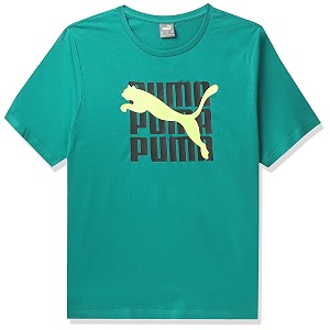 Puma Mens Cotton Regular Fit T-Shirt