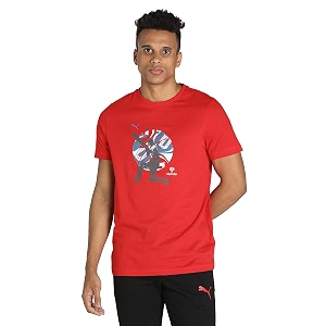 PUMA Mens Cotton Regular Fit T-Shirt