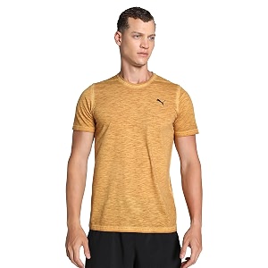 PUMA Mens Polyester Regular Fit T-Shirt