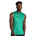 Puma Men's Polyester Slim Fit T-Shirt