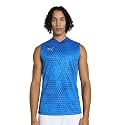 Puma Men's Polyester Slim Fit T-Shirt