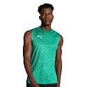 Puma Men's Polyester Slim Fit T-Shirt