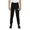 Puma Men39s Regular Track Pants
