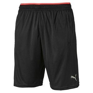 Puma Mens Shorts