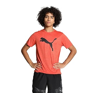 Puma Mens Solid Regular Fit T-Shirt