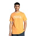 Puma Men39s Cotton Regular Fit T-Shirt