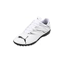 Puma Men ATTACANTO TT Football Shoe