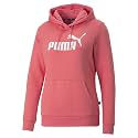 Puma Men Cotton Hooded Sweatshirt