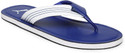 PUMA Men Flip Flops Blue 8