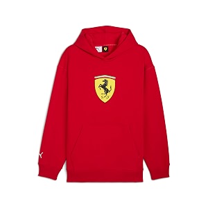 Puma Men Hoodies