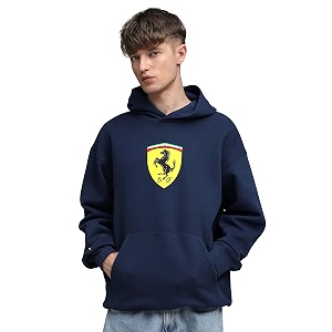 Puma Men Hoodies