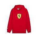 Puma Men Hoodies