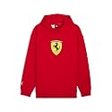 Puma Men Hoodies