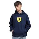 Puma Men Hoodies